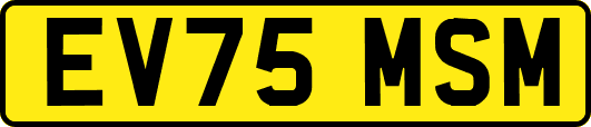 EV75MSM