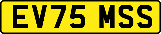 EV75MSS
