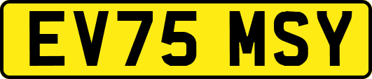 EV75MSY