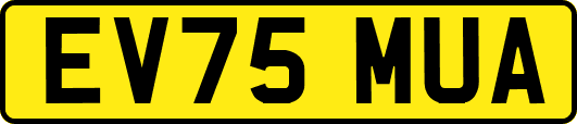 EV75MUA