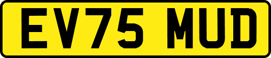 EV75MUD