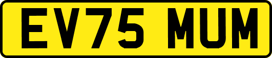 EV75MUM