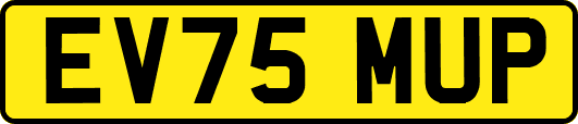 EV75MUP