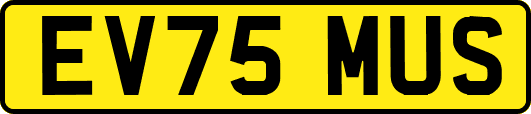 EV75MUS