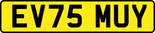 EV75MUY