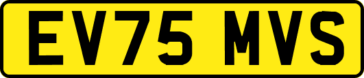 EV75MVS
