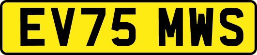 EV75MWS