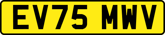 EV75MWV