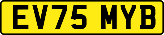 EV75MYB