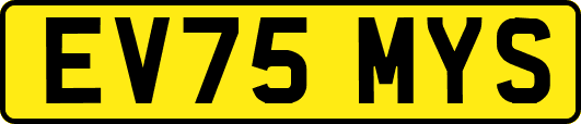 EV75MYS