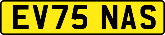 EV75NAS
