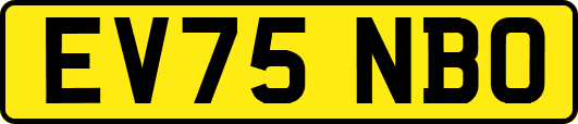 EV75NBO