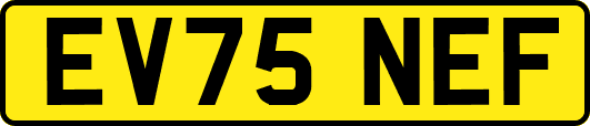 EV75NEF