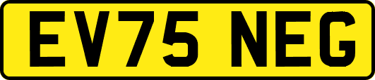 EV75NEG