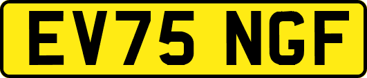 EV75NGF