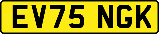 EV75NGK