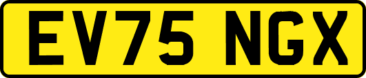 EV75NGX