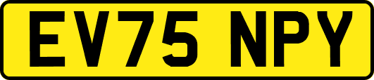 EV75NPY
