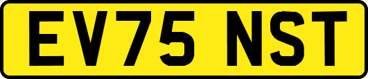 EV75NST