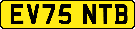 EV75NTB