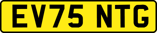 EV75NTG