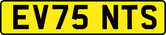 EV75NTS