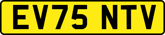 EV75NTV