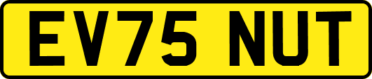 EV75NUT