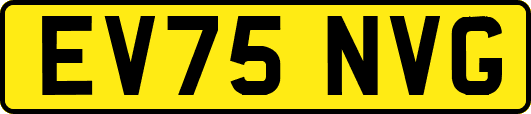EV75NVG