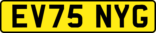 EV75NYG