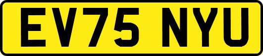 EV75NYU