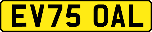 EV75OAL