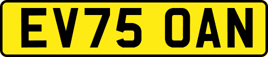 EV75OAN