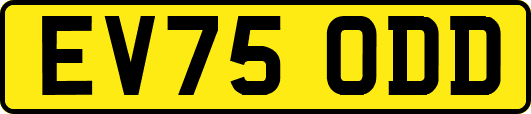 EV75ODD