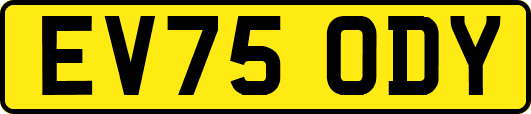 EV75ODY