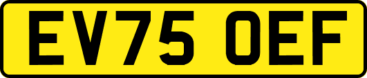 EV75OEF