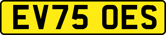 EV75OES