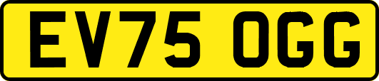 EV75OGG