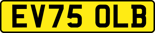 EV75OLB
