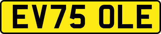 EV75OLE