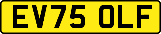 EV75OLF