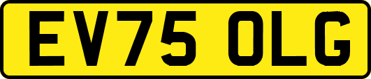 EV75OLG