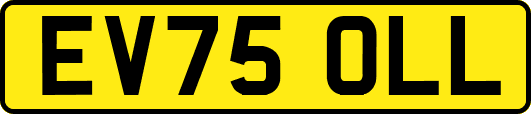 EV75OLL