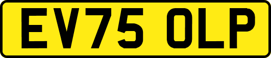 EV75OLP