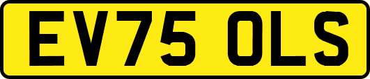 EV75OLS