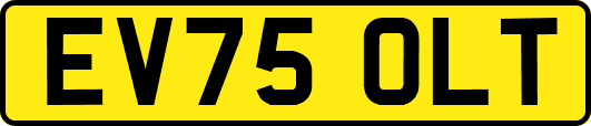 EV75OLT