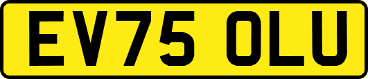 EV75OLU