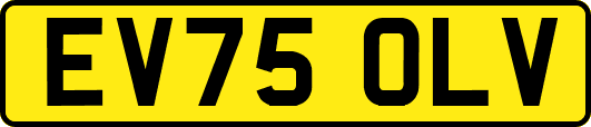 EV75OLV