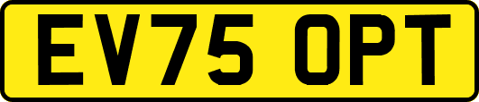 EV75OPT