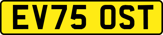EV75OST